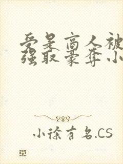 受是商人被皇帝强取豪夺小说