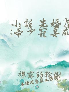 小说 先婚厚爱:帝少宠妻成瘾