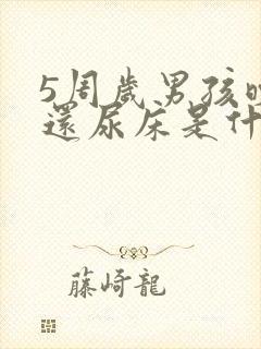 5周岁男孩晚上还尿床是什么原因