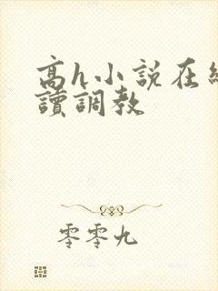 高h小说在线阅读调教