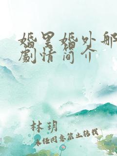 婚里婚外那些事剧情简介