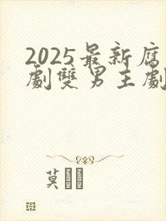 2025最新腐剧双男主剧