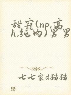 甜宠(np,高h,纯肉)男男