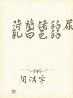 荷兰猪的尿液是乳白色的