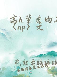 高h荤爽肉欲文〈np〉文