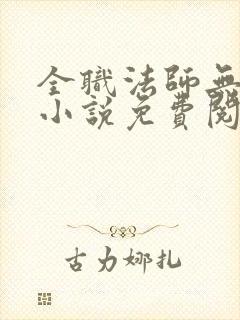 全职法师无弹窗小说免费阅读