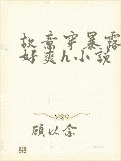 故意穿暴露被强好爽h小说