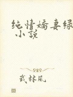 纯情娇妻绿帽公 小说