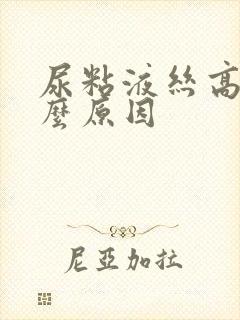 尿粘液丝高是什么原因