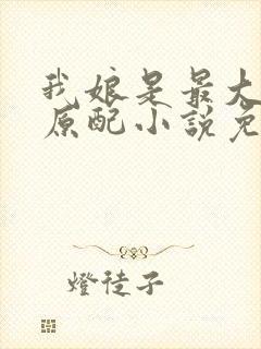 我娘是最大方的原配小说免费阅读