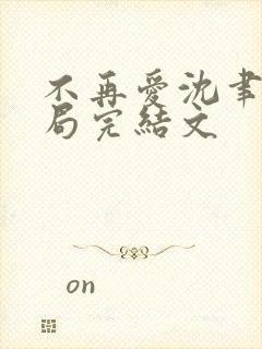 不再爱沈聿大结局完结文