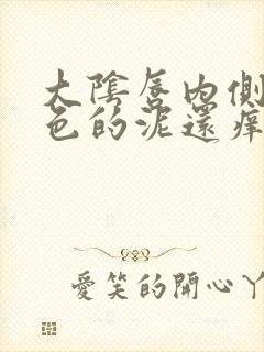 大阴唇内侧有白色的泥还痒