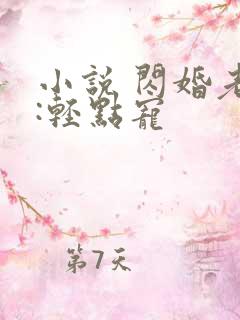 小说 闪婚老公:轻点宠