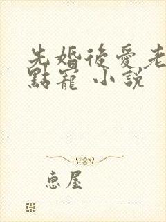 先婚后爱老公轻点宠 小说