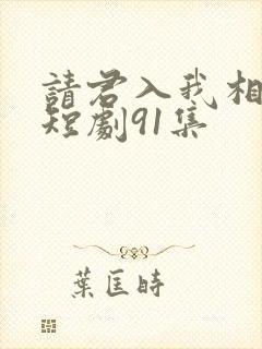 请君入我相思局短剧91集