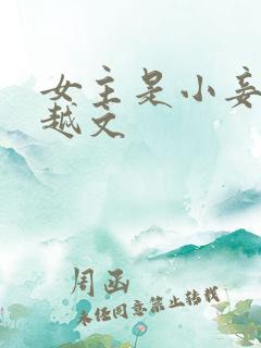 女主是小妾的穿越文
