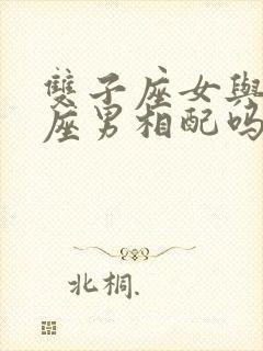 双子座女与摩羯座男相配吗