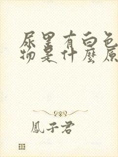 尿里有白色沉淀物是什么原因