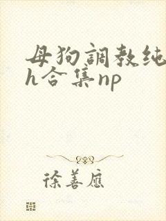 母狗调教纯肉高h合集np