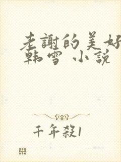 老谢的美好生活 韩雪 小说