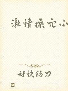 激情操穴小说