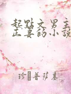 起点文男主沦为正妻的小说