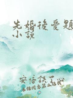 先婚后爱题材的小说