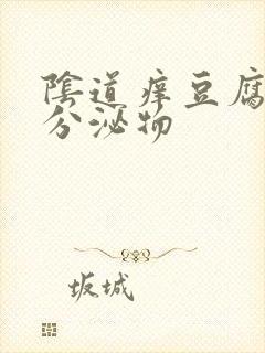 阴道痒豆腐渣样分泌物