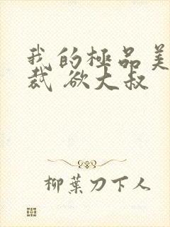 我的极品美女总裁 欲大叔