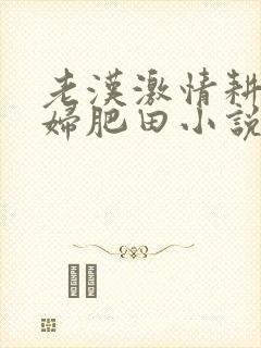 老汉激情耕耘少妇肥田小说