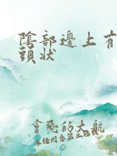 阴部边上有小乳头状