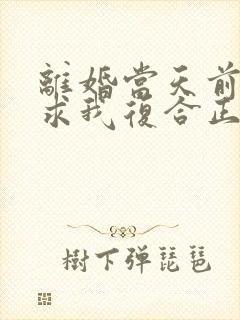 离婚当天前夫跪求我复合正版