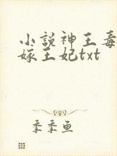 小说神王毒宠二嫁王妃txt