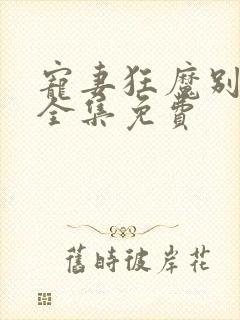 宠妻狂魔别太坏全集免费