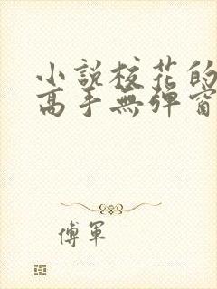 小说校花的贴身高手无弹窗