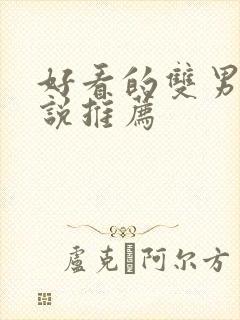 好看的双男主小说推荐