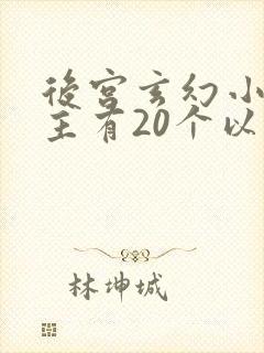 后宫玄幻小说女主有20个以上