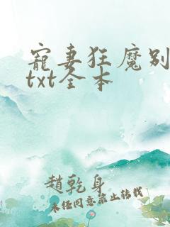 宠妻狂魔别太坏txt全本