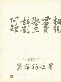 何妨与君相决绝短剧免费观看大结局