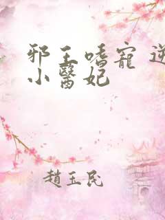 邪王嗜宠 逆天小医妃