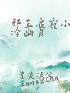 邪王夜宠小毒妃冷幽月