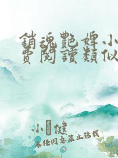 销魂艳婢小说免费阅读类似的小说