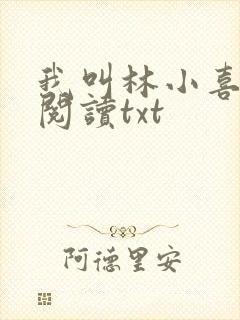 我叫林小喜免费阅读txt