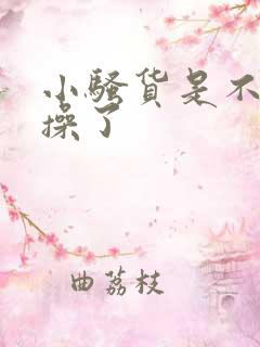 小骚货是不是欠操了