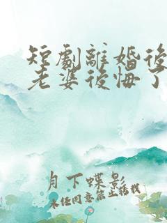 短剧离婚后总裁老婆后悔了