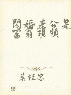 闪婚老公是亿万富翁视频