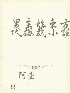 男主姓东方的现代总裁小说