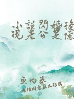 小说闪婚后,发现老公是亿万总裁免费阅读