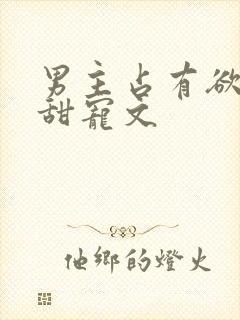 男主占有欲强的甜宠文