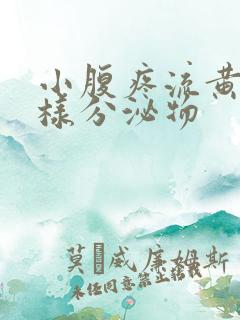 小腹疼流黄色水样分泌物